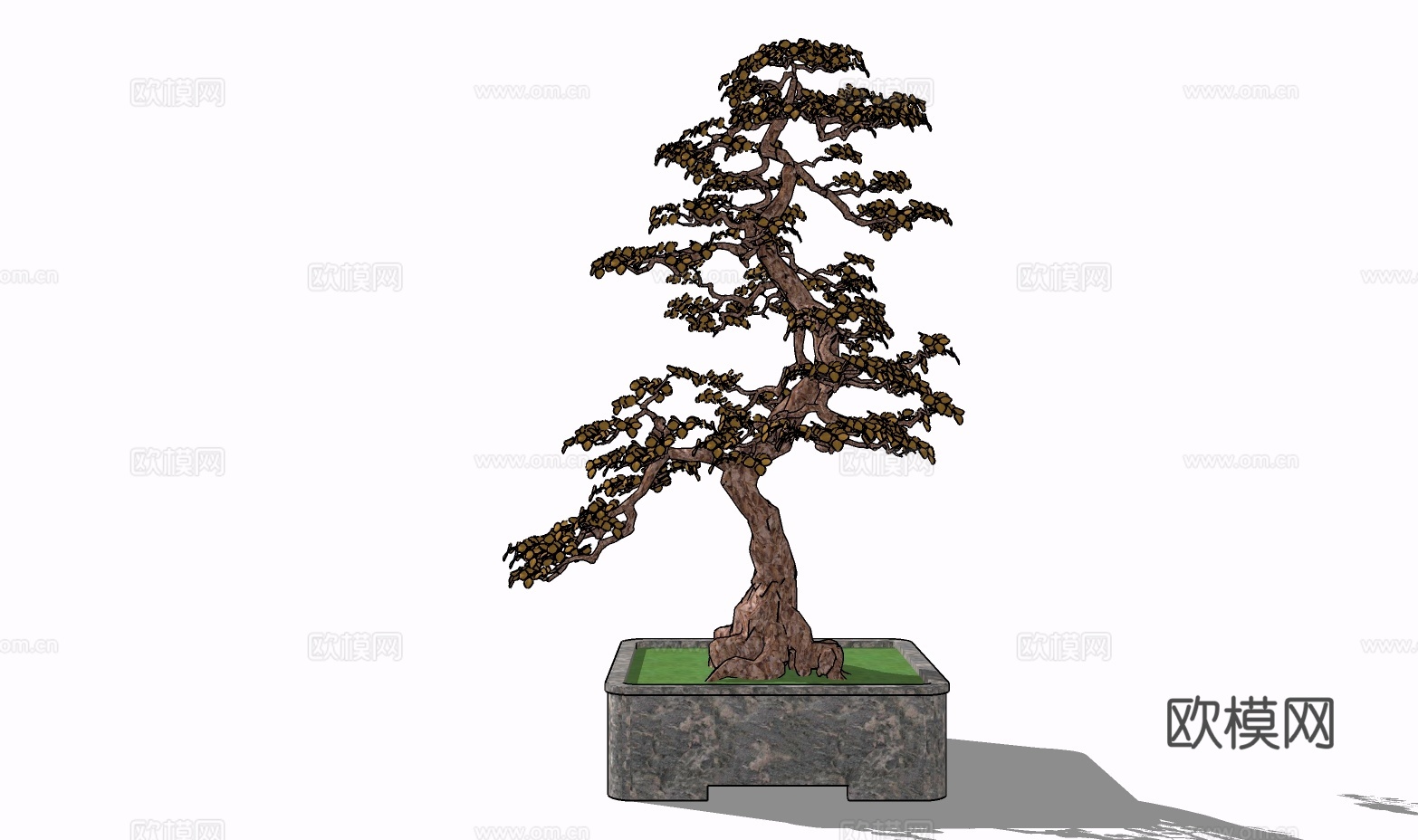 景观树盆景su模型
