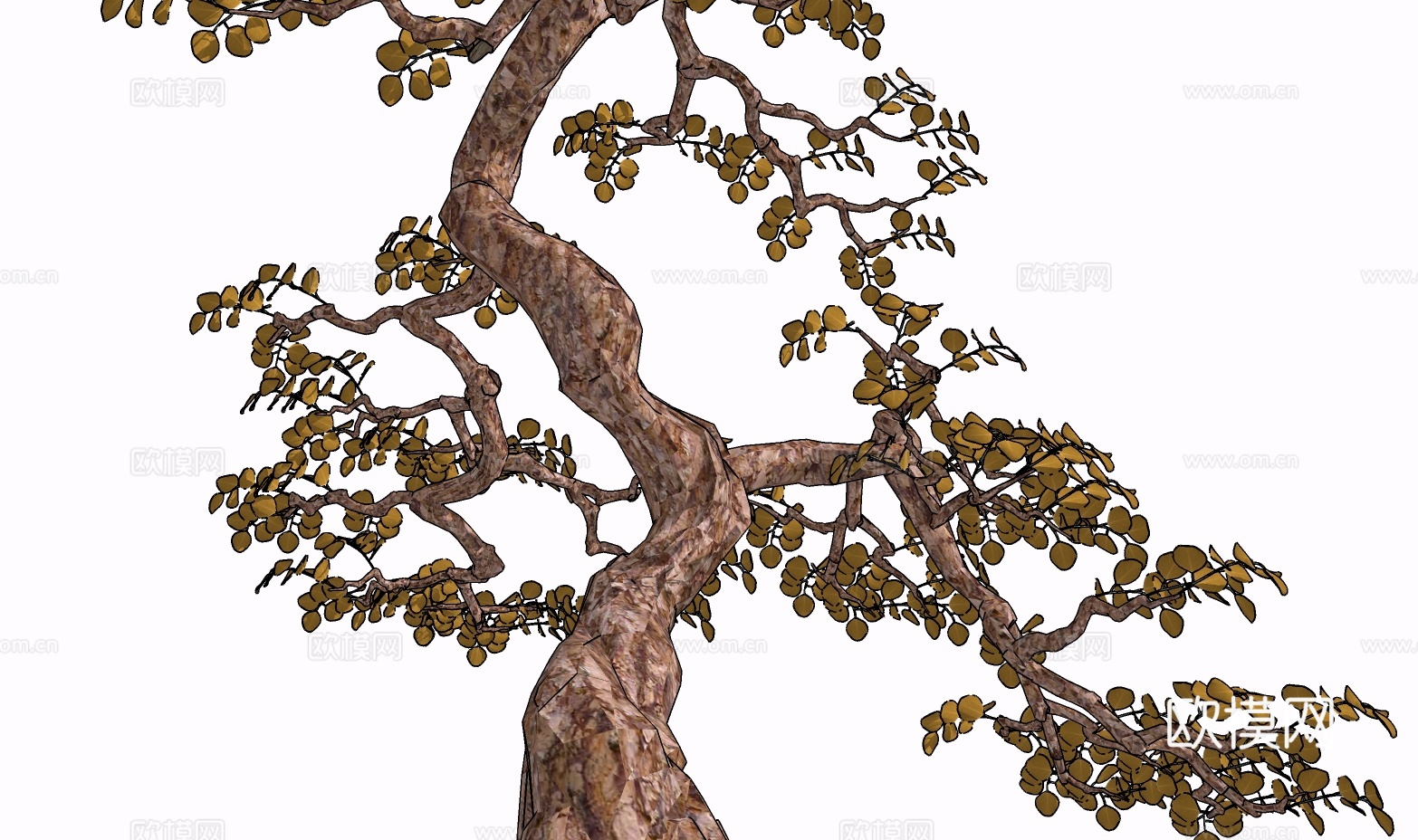 景观树盆景su模型