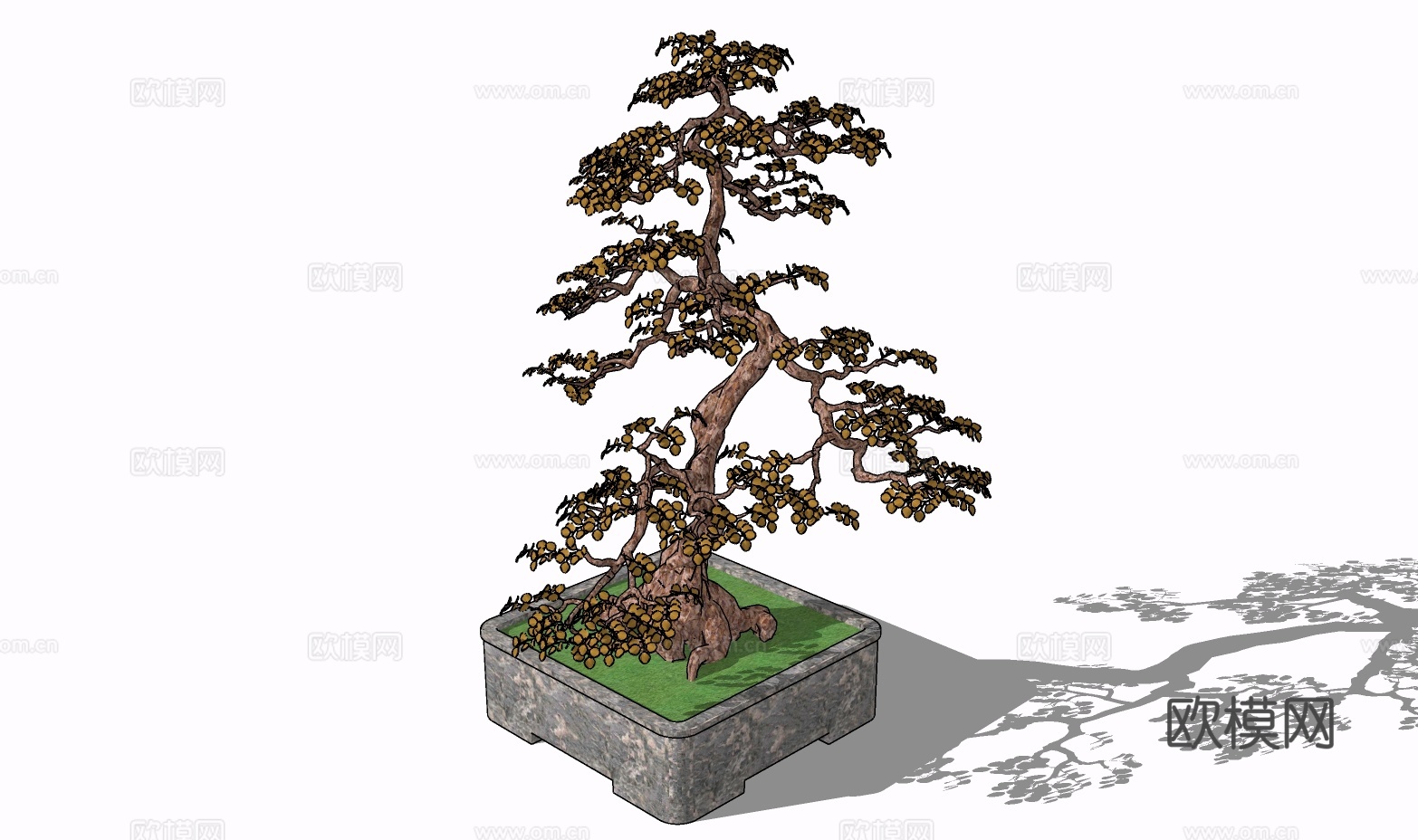 景观树盆景su模型
