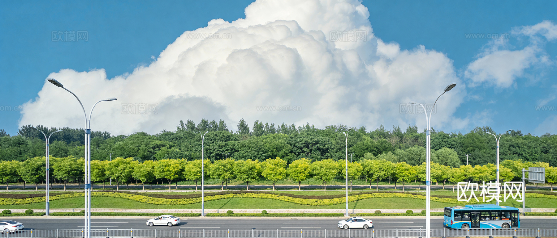 高清城市郊区公路绿化