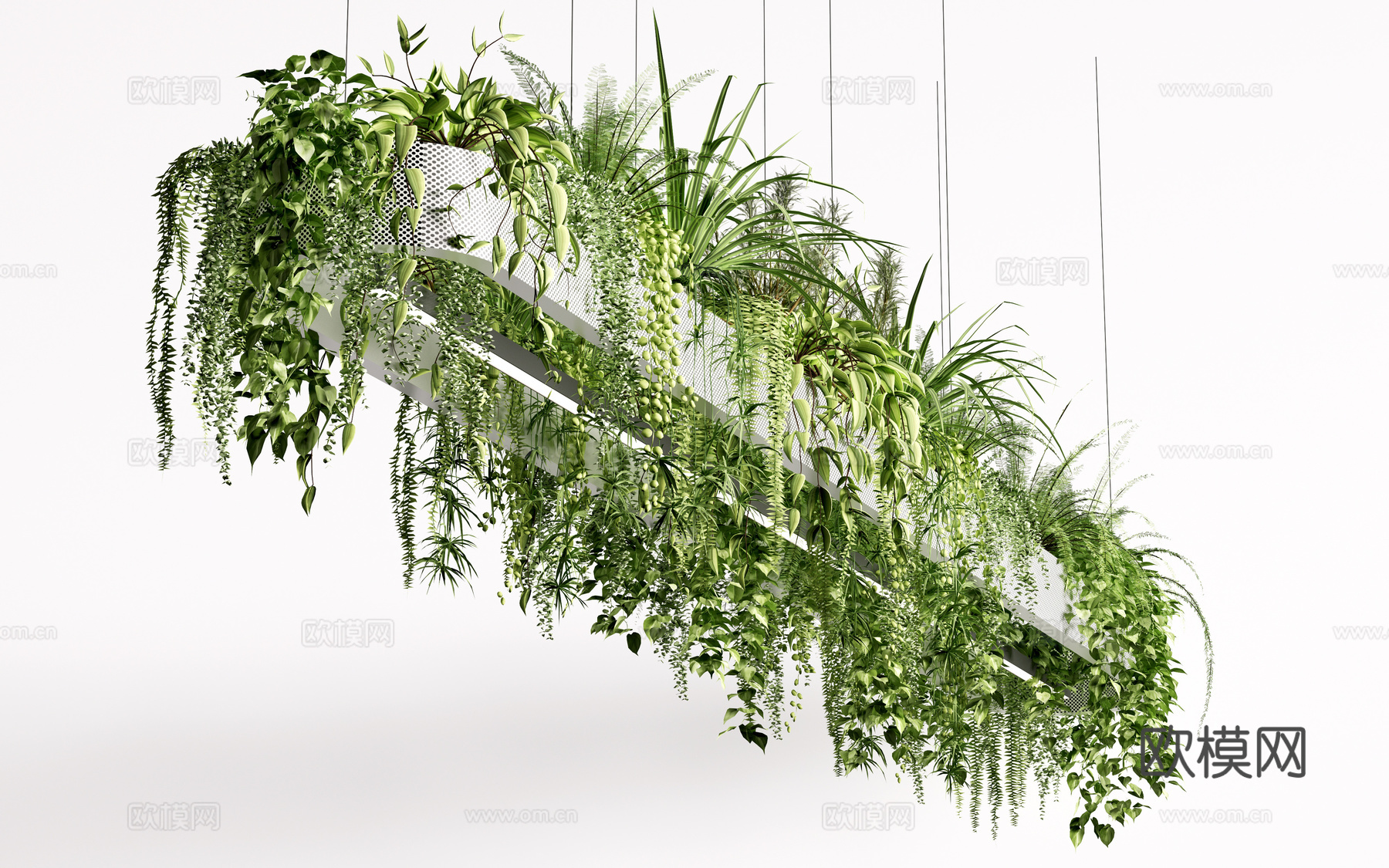 现代吊篮 吊挂植物 植物吊顶 绿植su模型