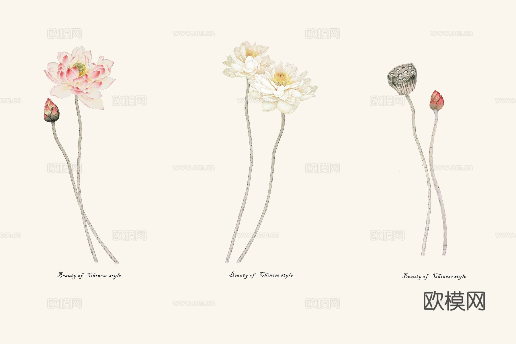 中式新中式花鸟植物壁纸壁画装饰画