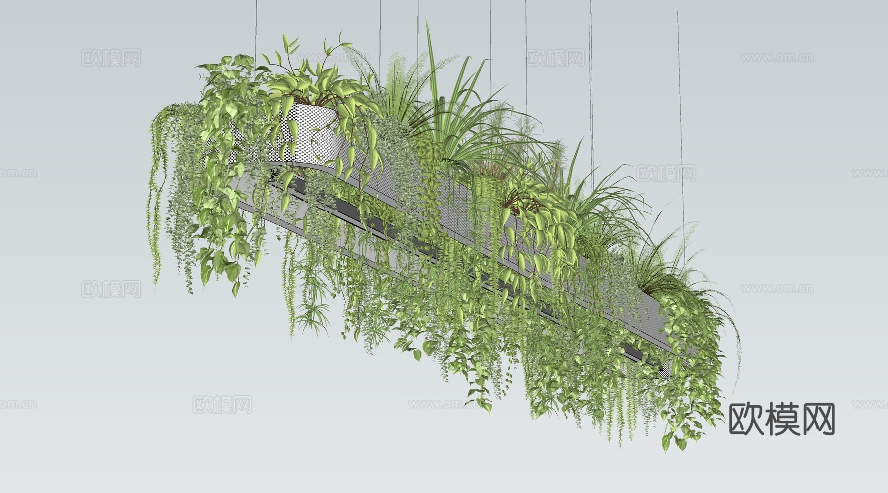 现代吊篮 吊挂植物 植物吊顶 绿植su模型