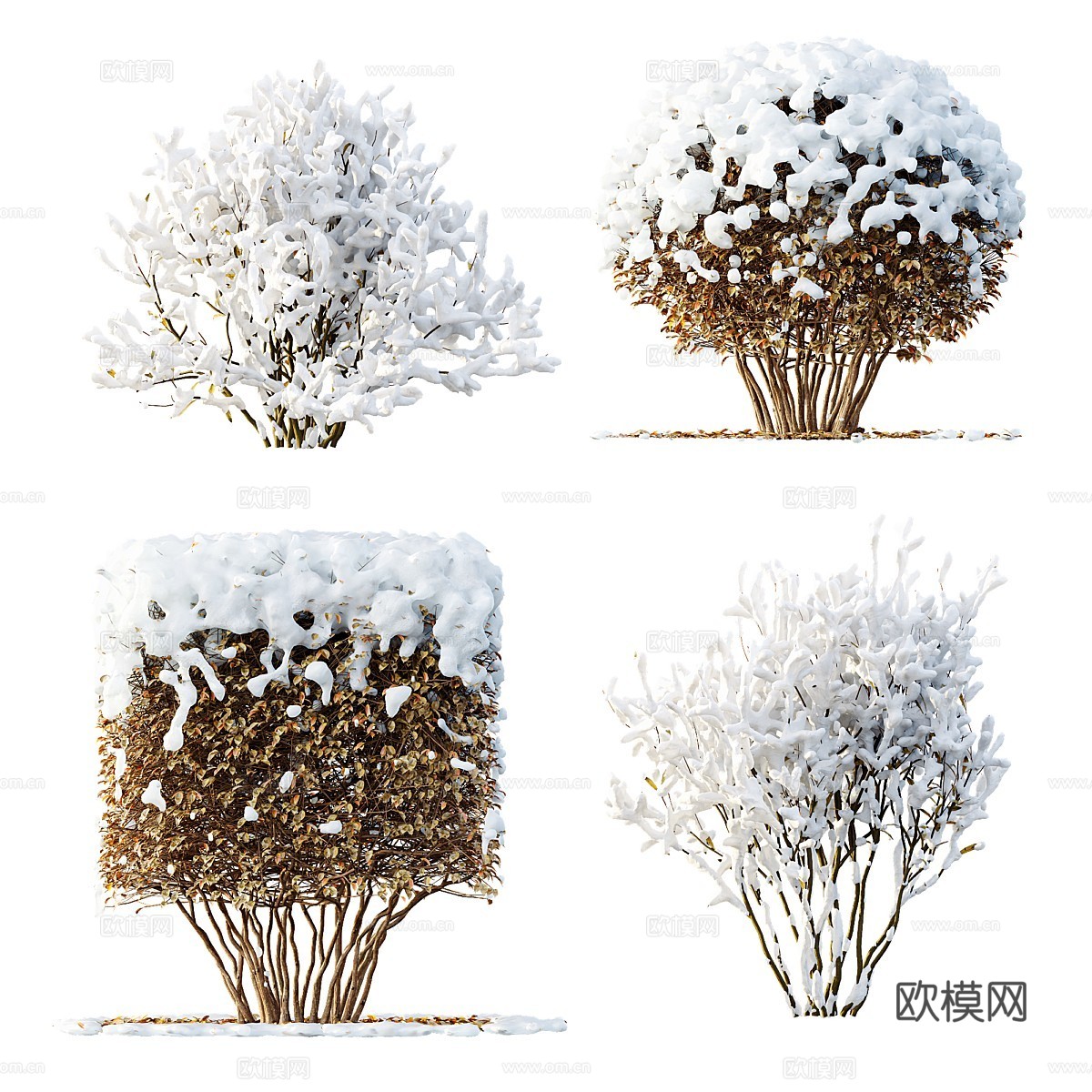现代灌木 灌木丛3d模型下载（渲染图1）