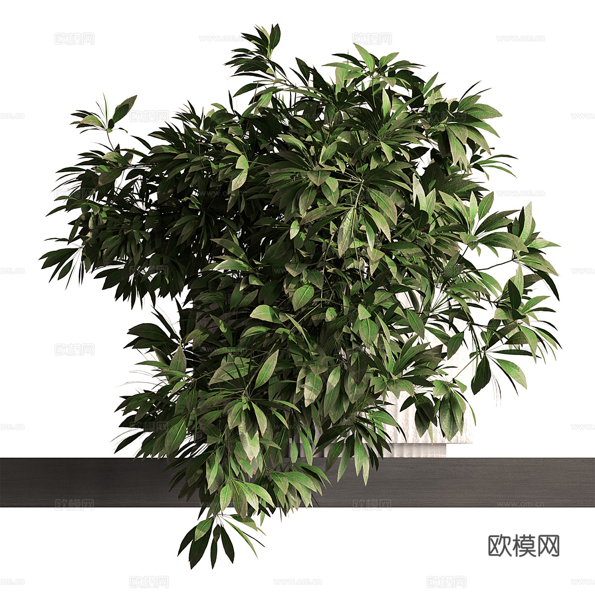 花瓶花卉3d模型下载