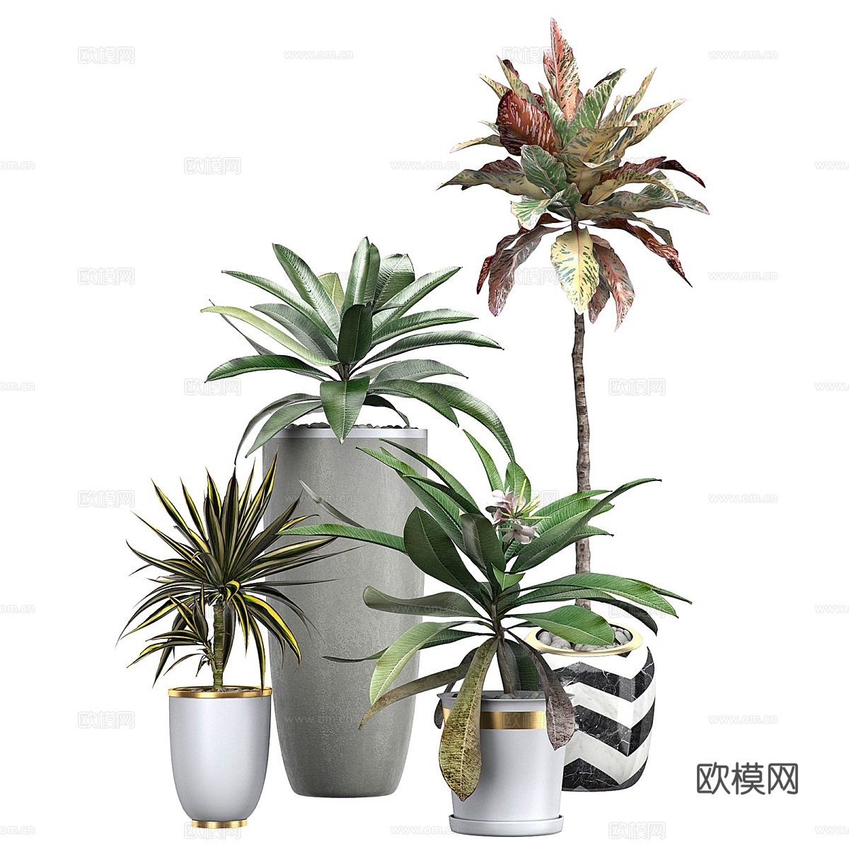 花卉套装115 S3d模型下载