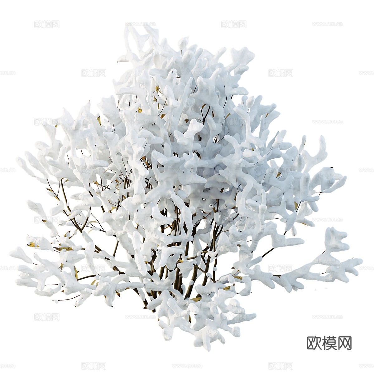 现代灌木 灌木丛3d模型下载（渲染图4）