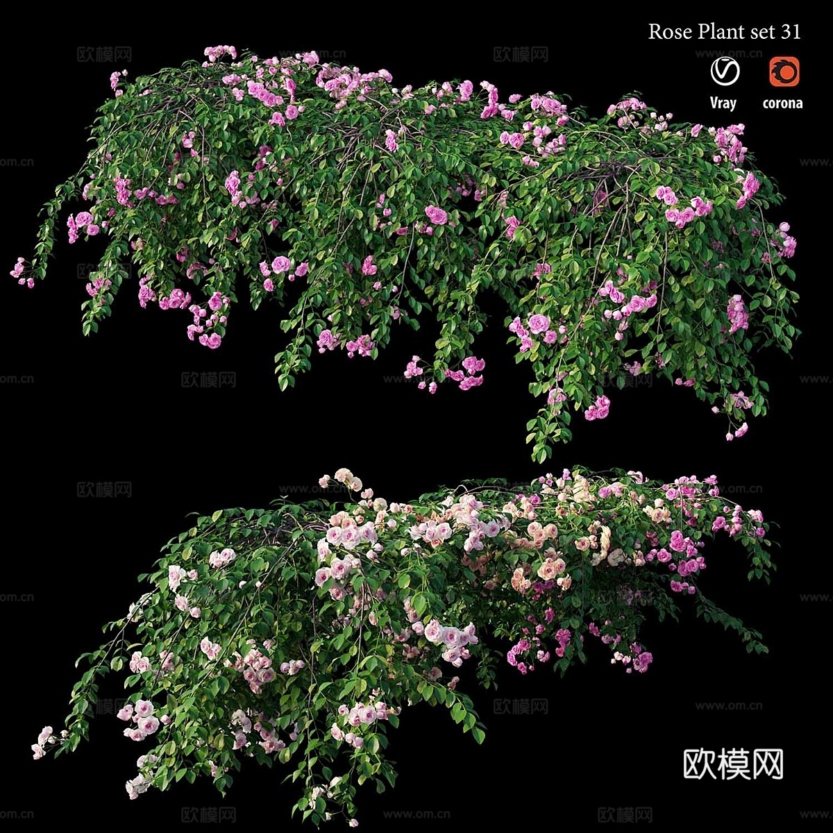 玫瑰植物套装313d模型下载