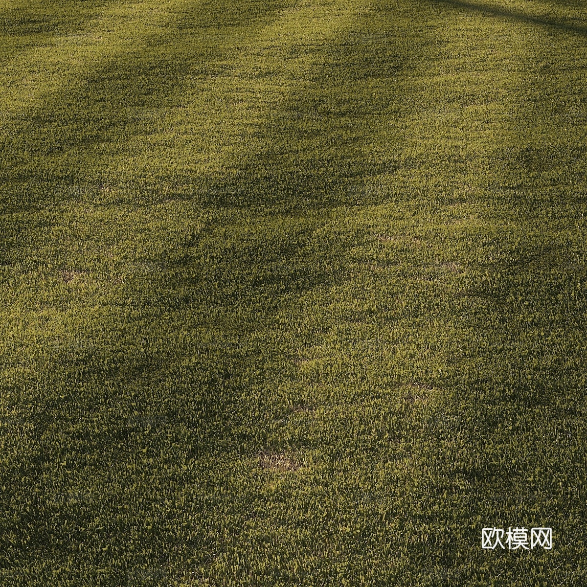 修剪草坪3d模型下载