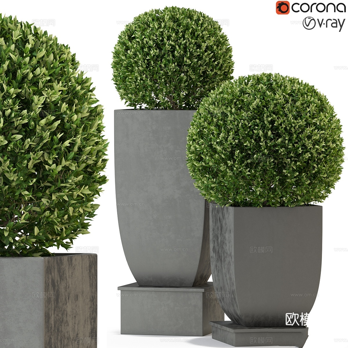 植物集锦 3283d模型下载