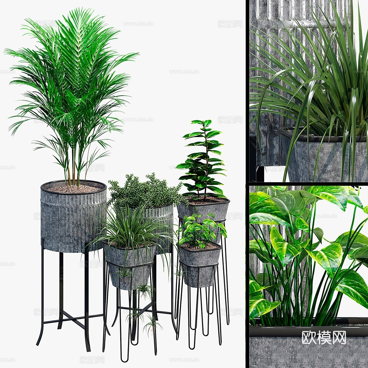 Verville brunelle3d模型下载