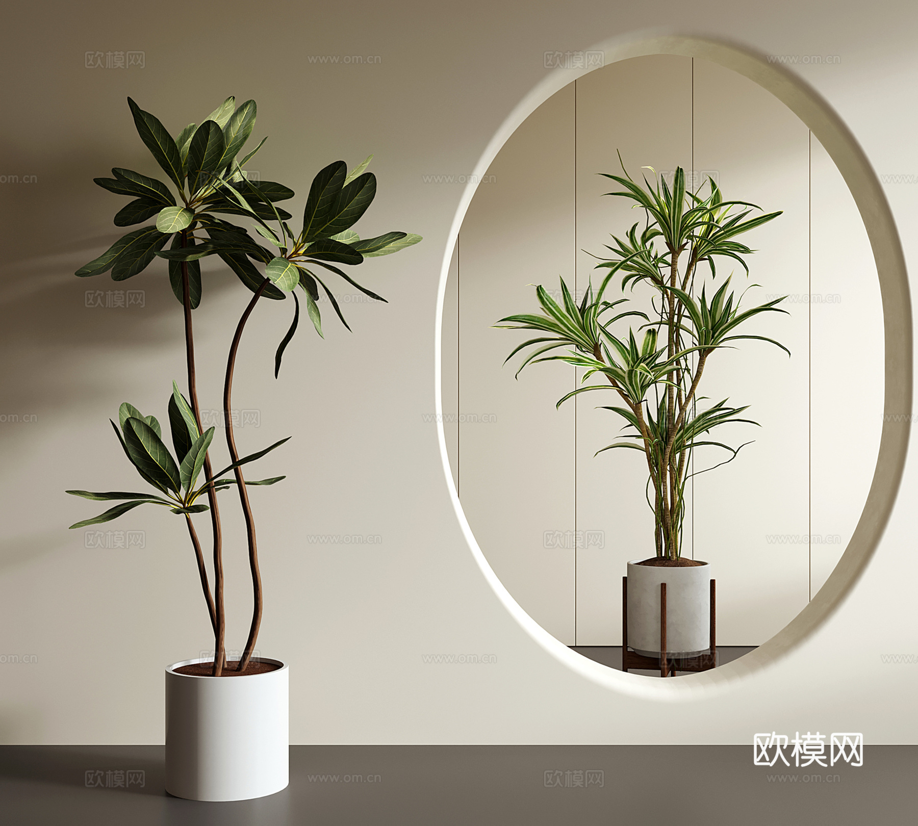 法式绿植 奶油风盆栽 橡皮树 马尾铁龙血树3d模型