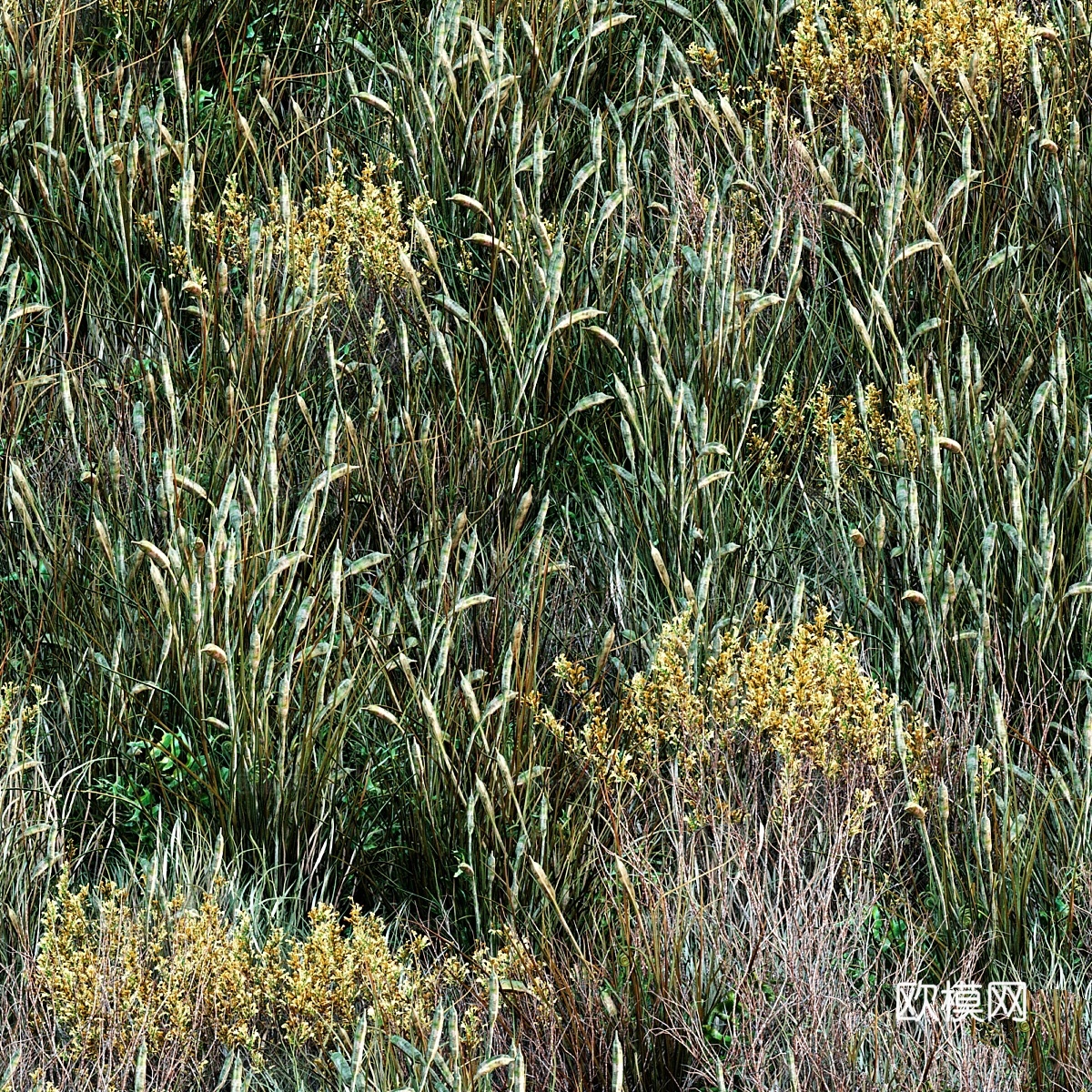 森林草0013d模型下载