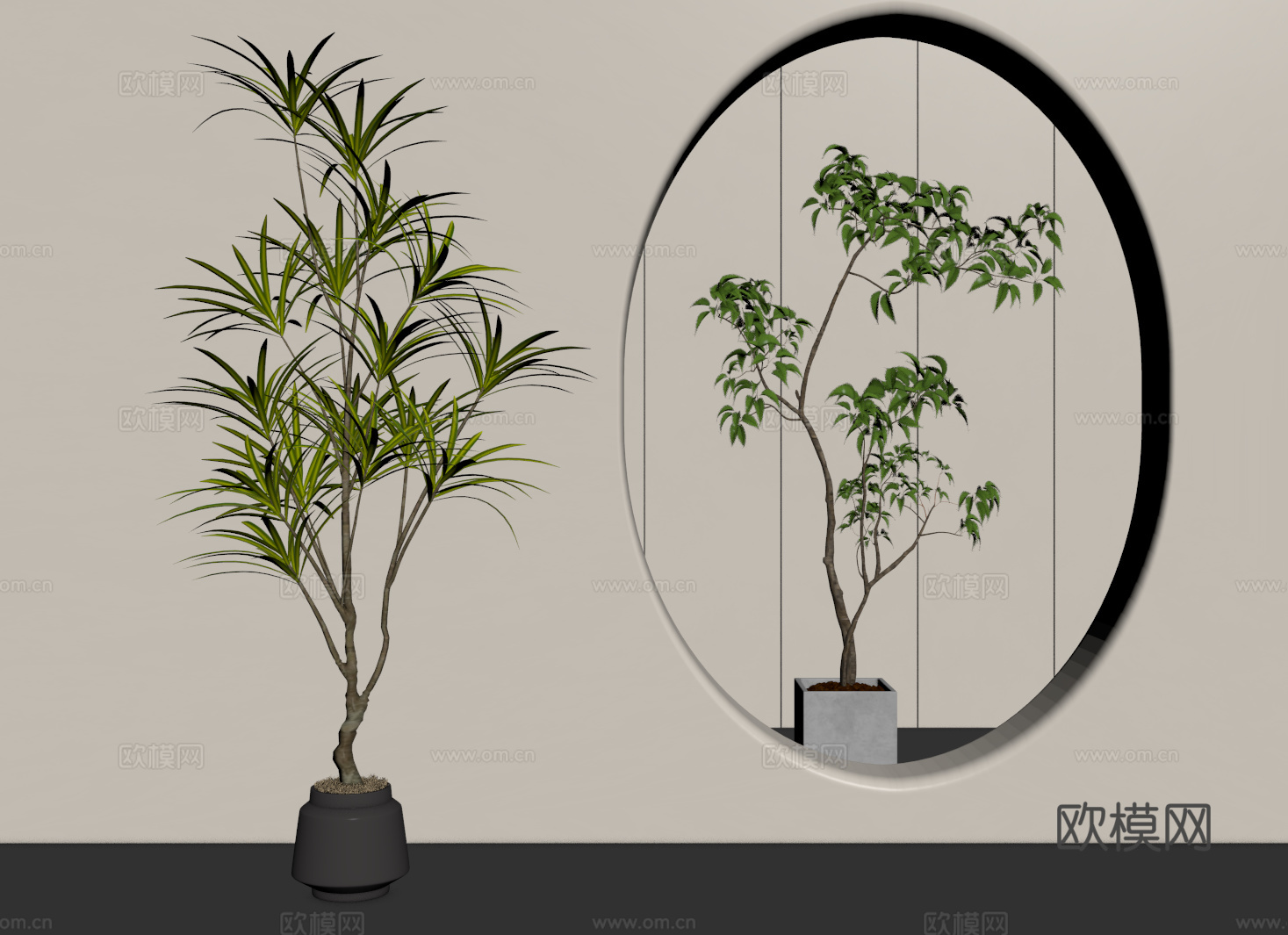 奶油风绿植盆栽 南天竹 榕树 千年木 龙血树su模型su模型