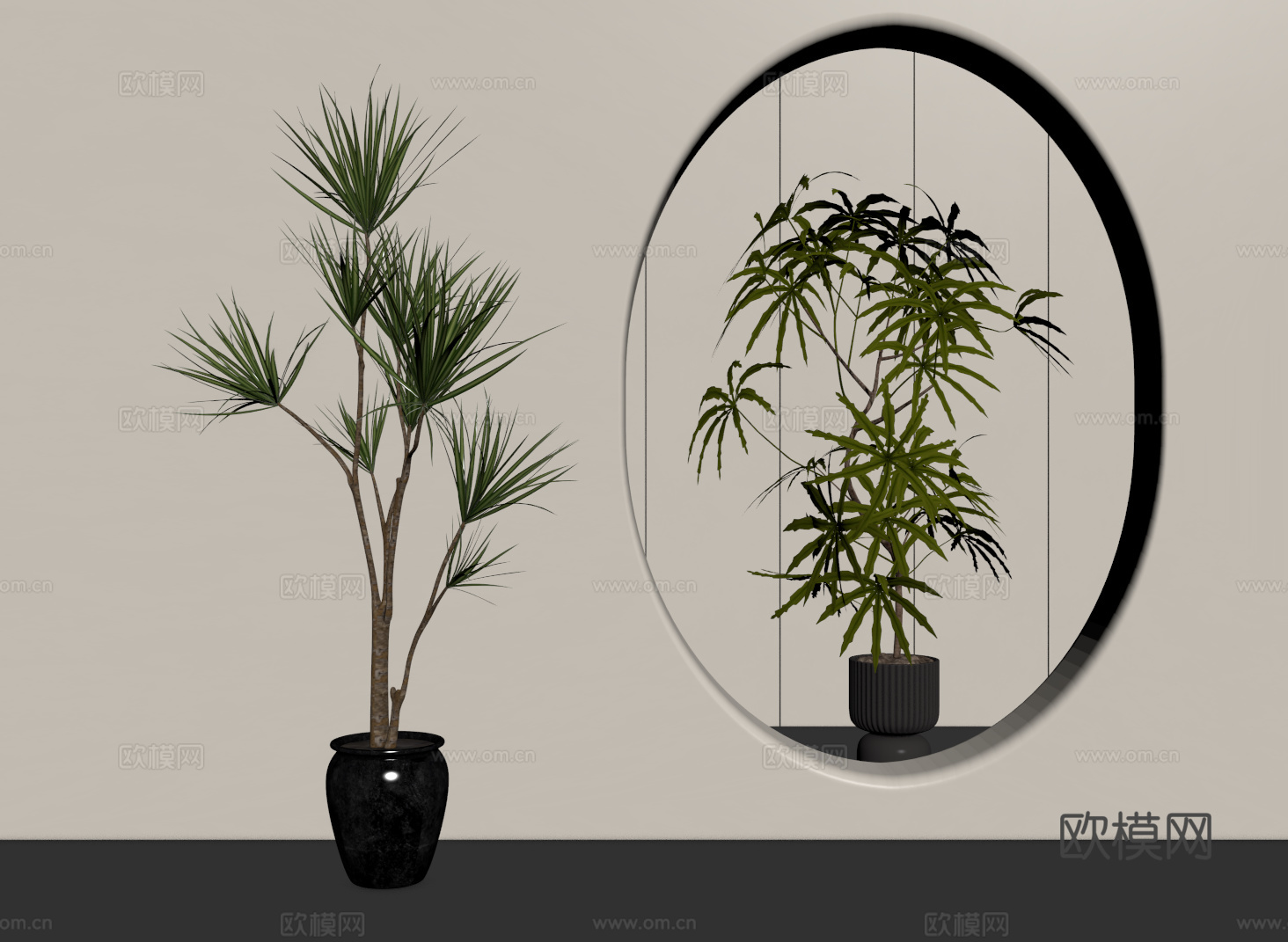 中古侘寂绿植 盆栽 千年木 孔雀木su模型