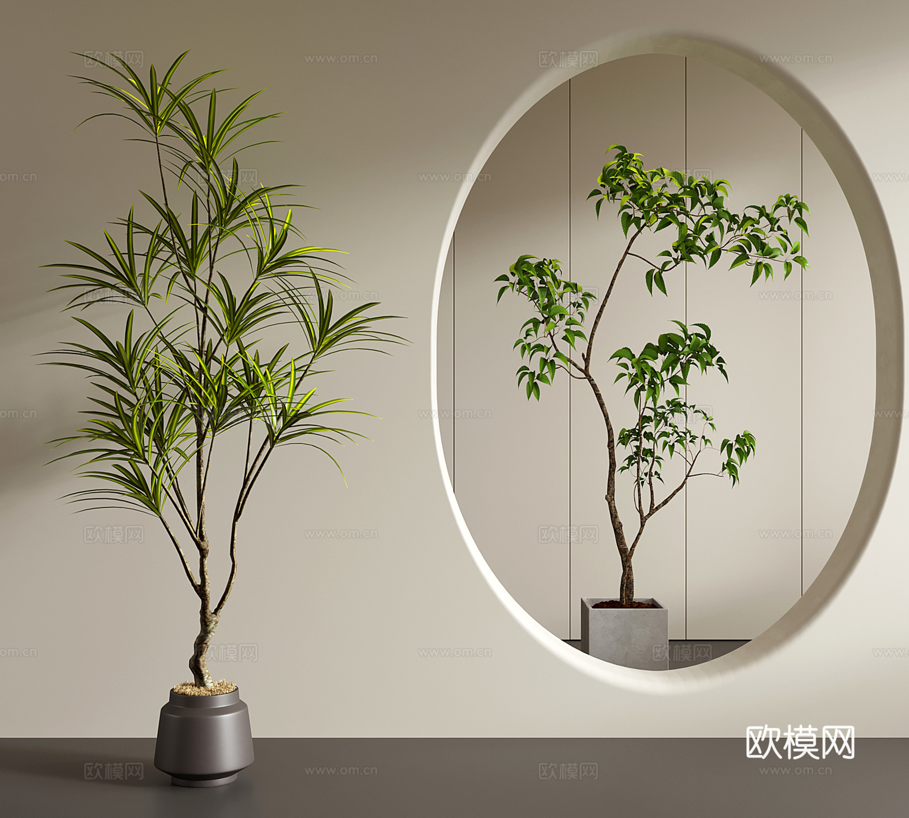 奶油风绿植盆栽 南天竹 榕树 千年木 龙血树3d模型下载