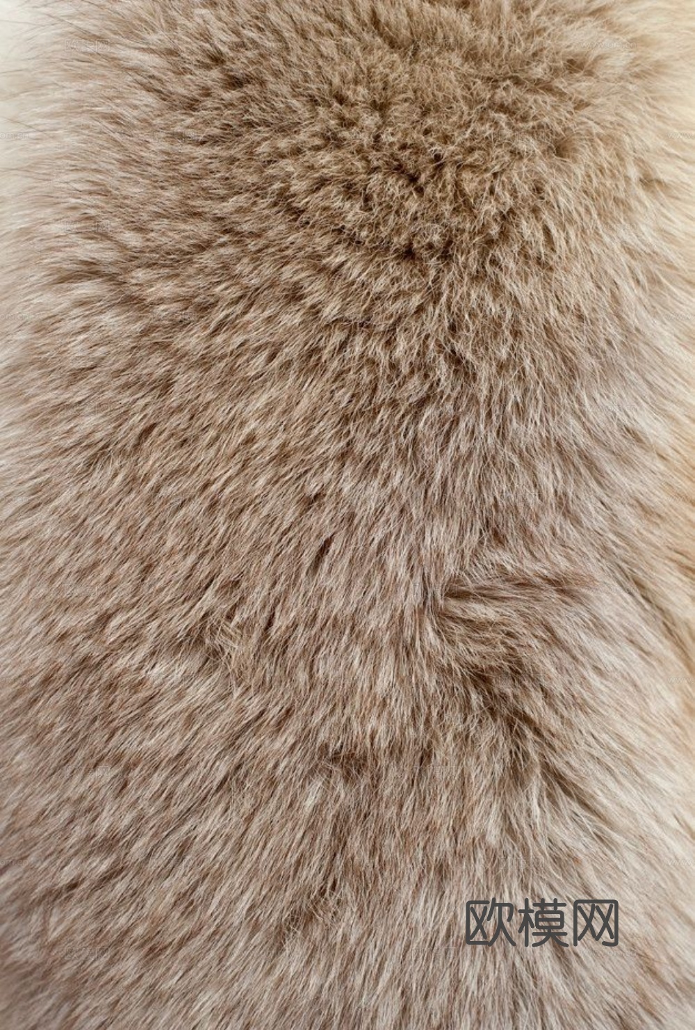 动物皮毛下载