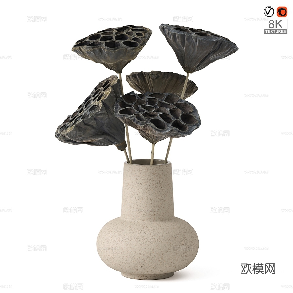 干花花瓶3d模型下载