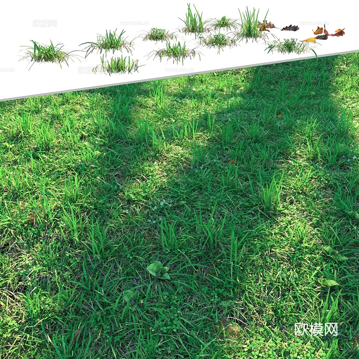 草坪3d模型下载