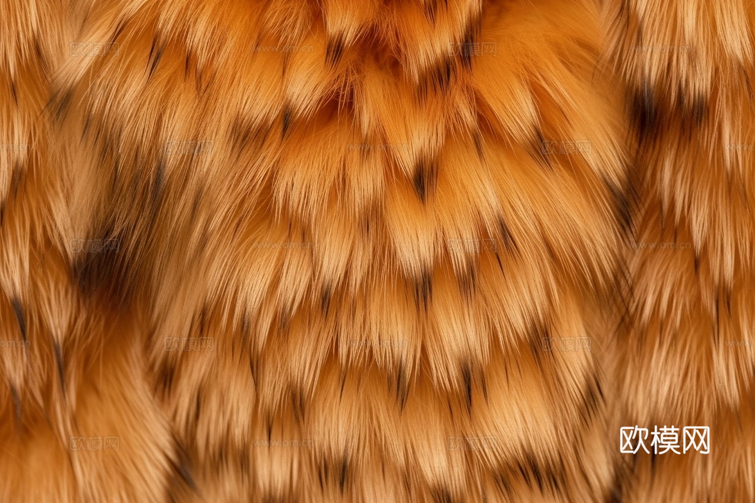 动物皮毛下载