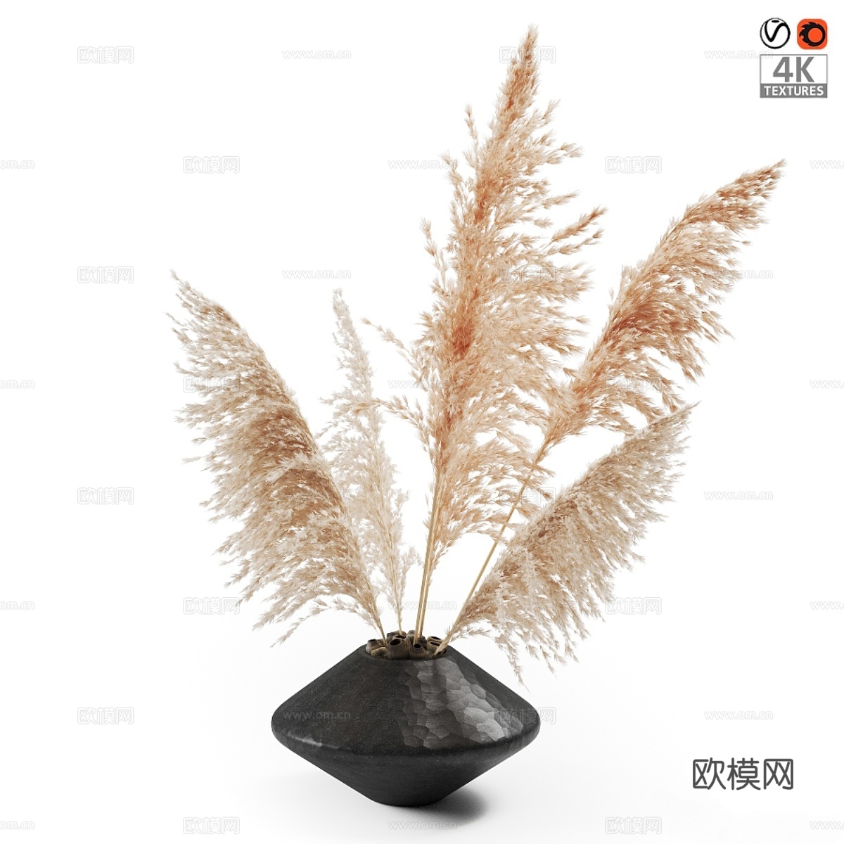 干花植物花瓶3d模型下载
