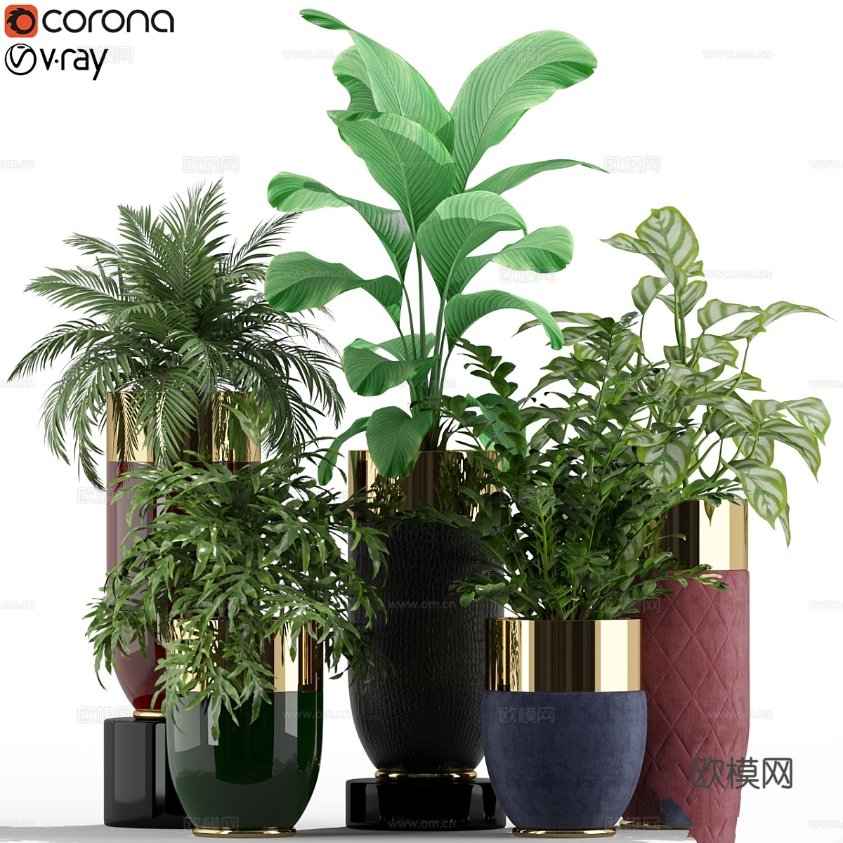 植物集锦233 Longhi godwin3d模型下载