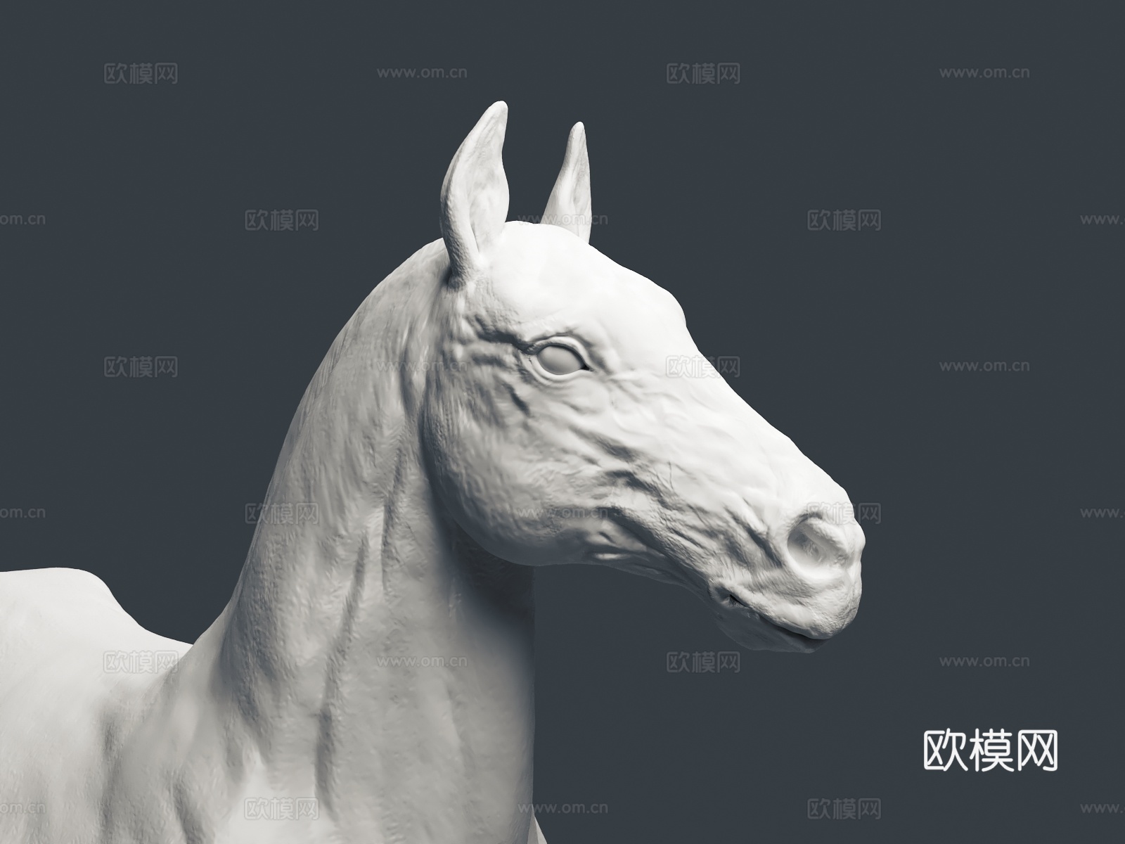 马 奔马 站立马3d模型下载（渲染图4）
