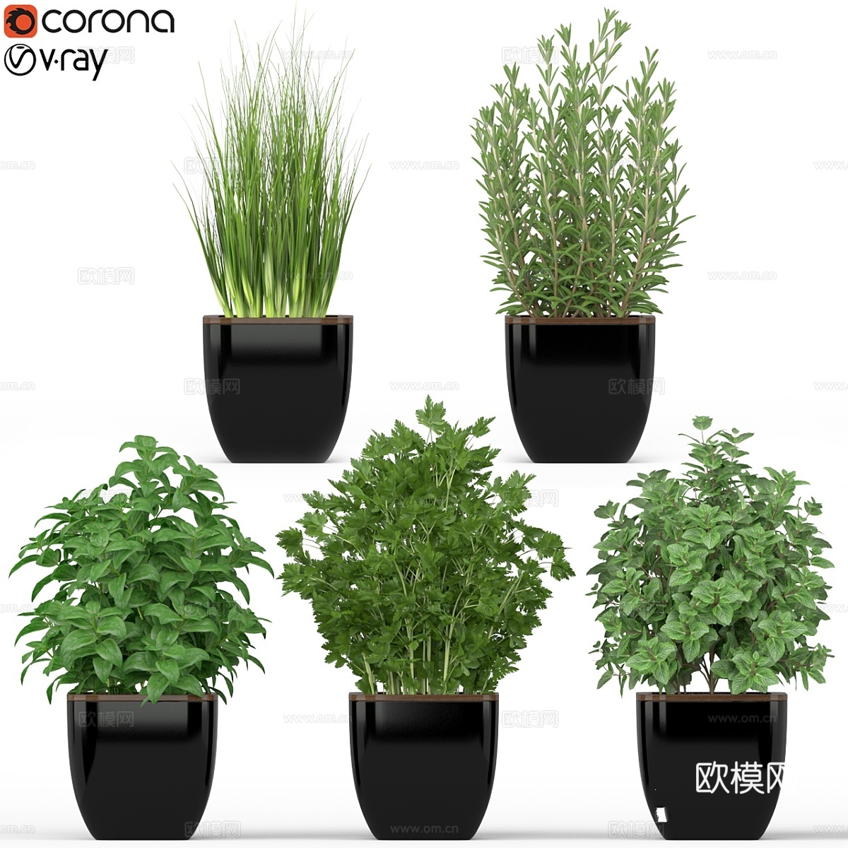 植物集锦 2323d模型下载