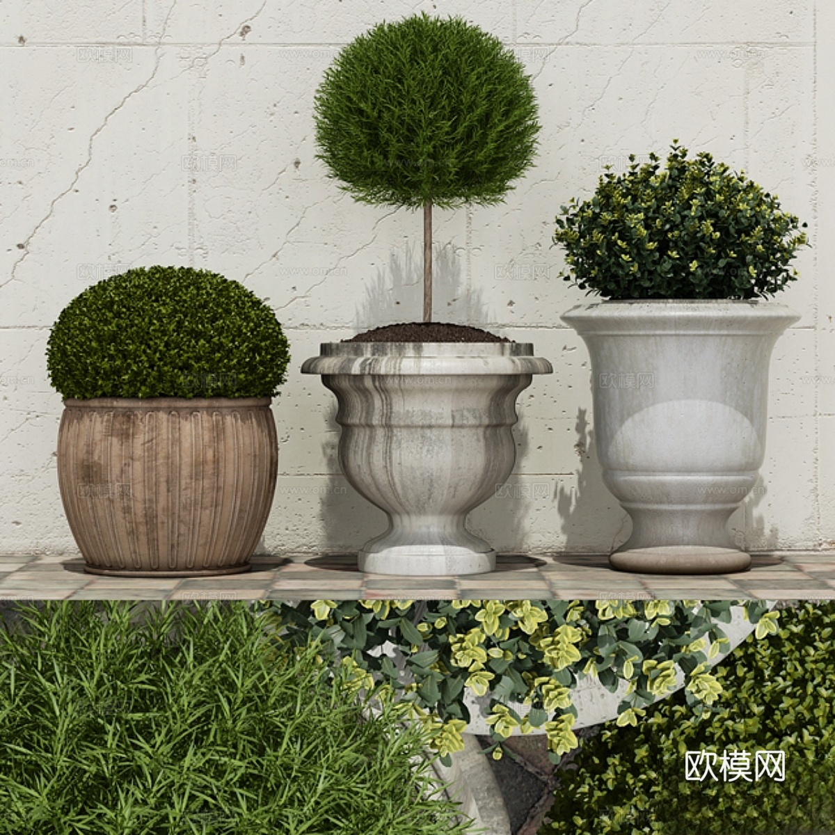 盆栽灌木13d模型下载