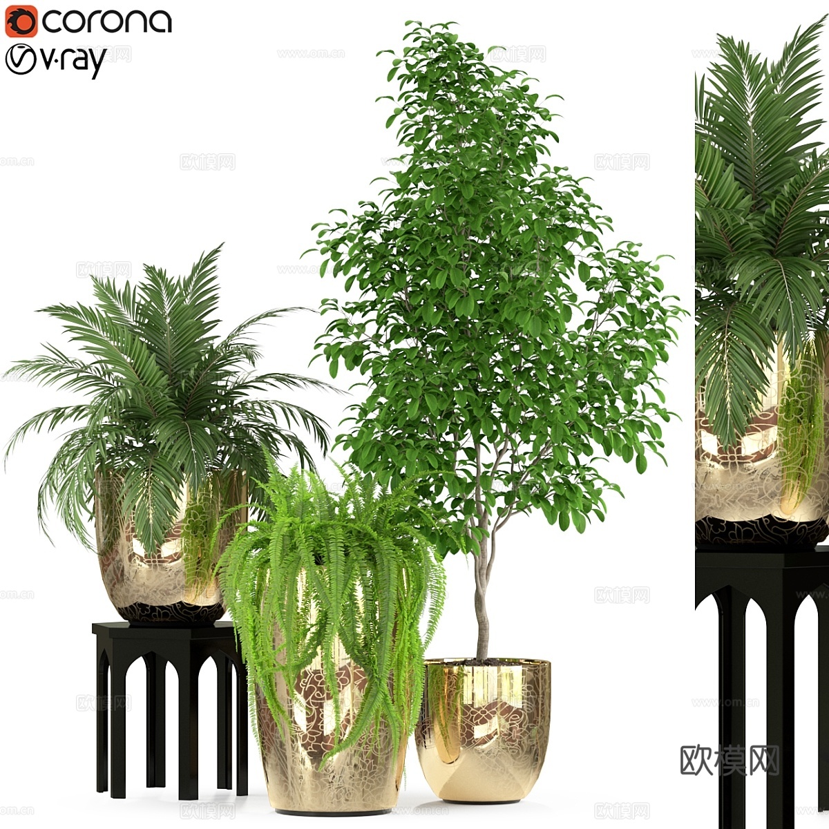 植物收藏 2353d模型下载