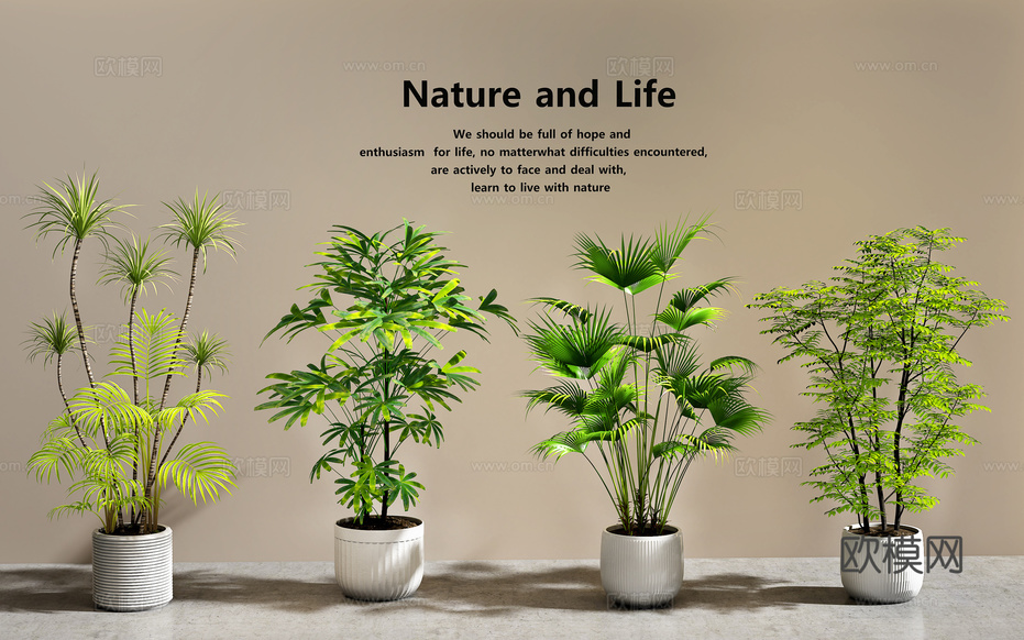 盆栽 绿植盆栽3d模型下载_ID16222812_3dmax免费模型-欧模网