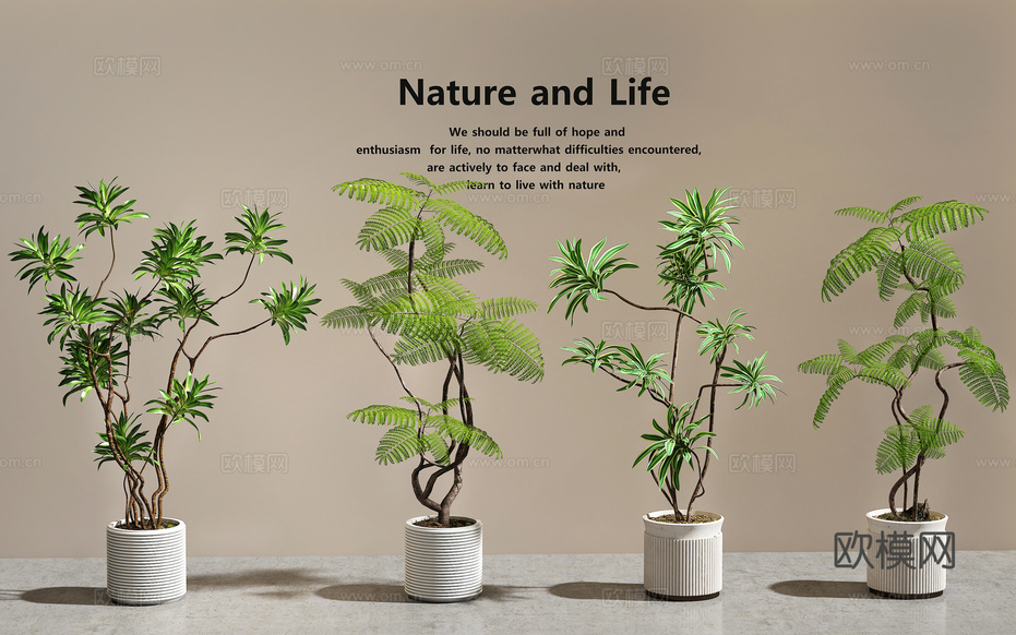 盆栽 绿植盆栽3d模型下载_ID16222811_3dmax免费模型-欧模网
