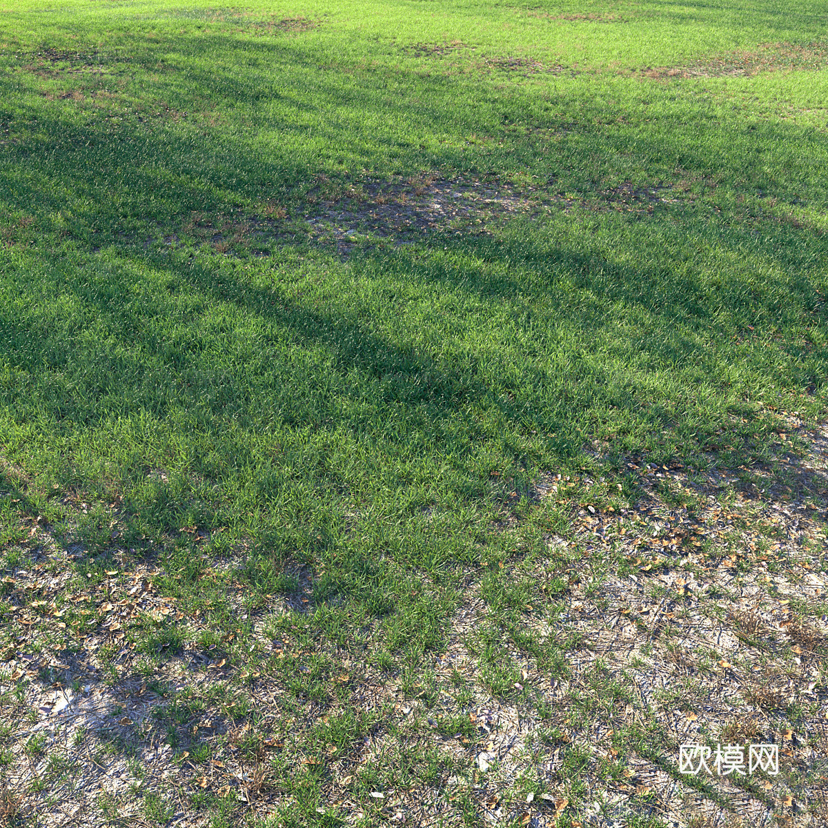 草地 草坪 草原3d模型下载（渲染图1）