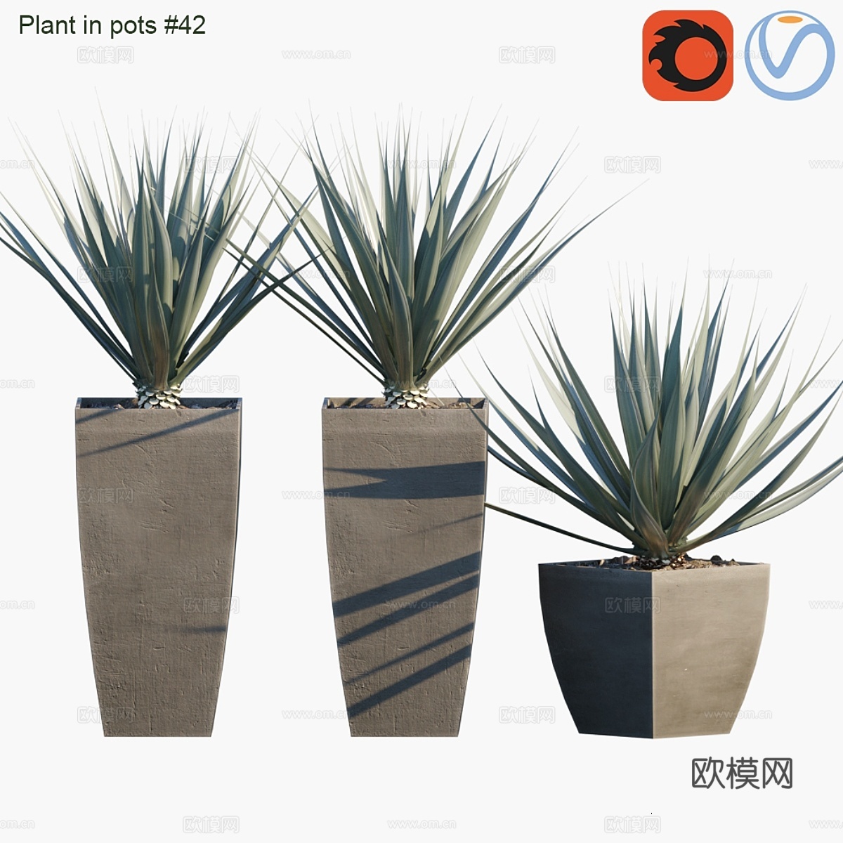 盆栽植物 #42 龙舌兰3d模型下载