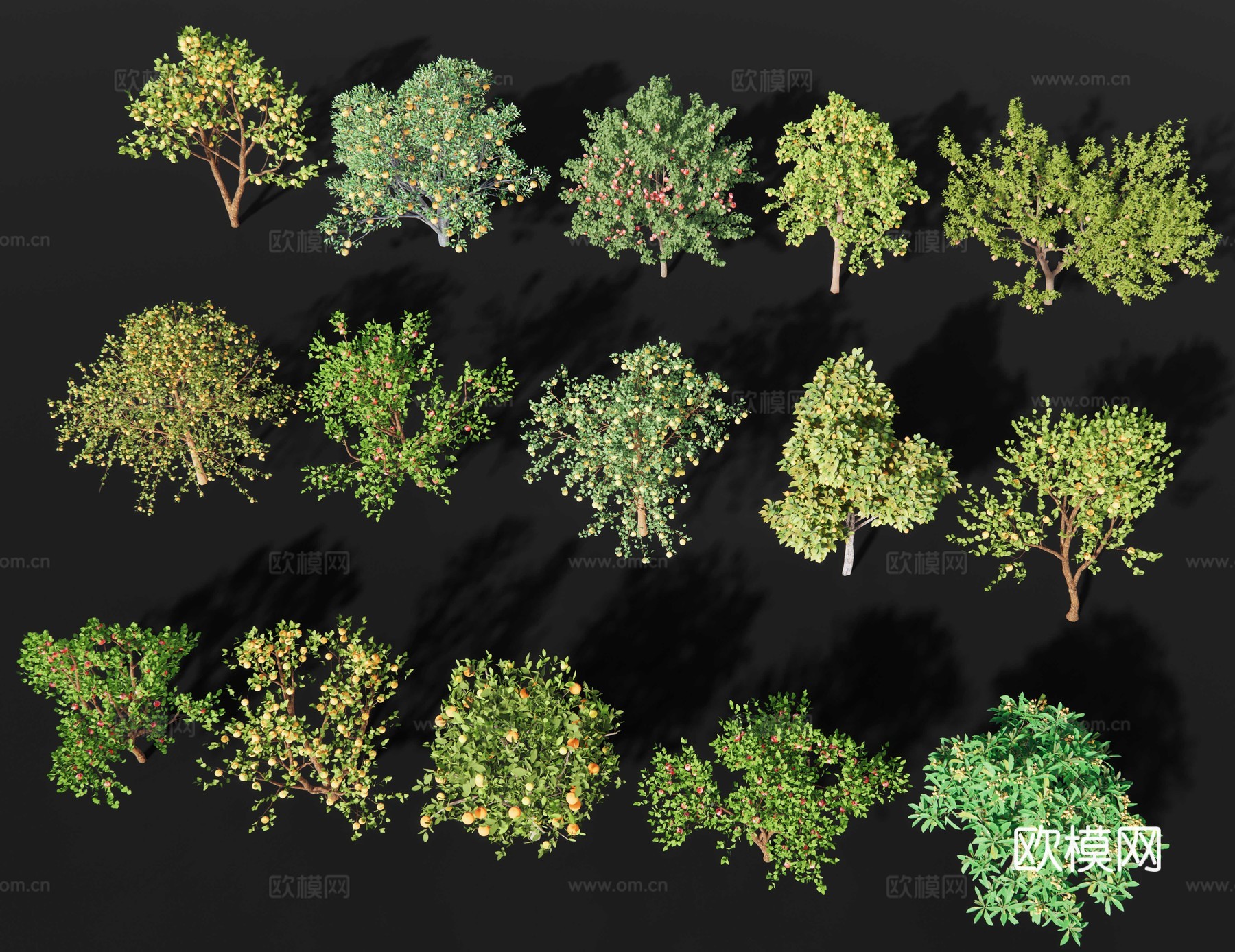 现代果树 石榴树 橘子树 花果树 苹果树 山楂树 柚子树梨树su模型