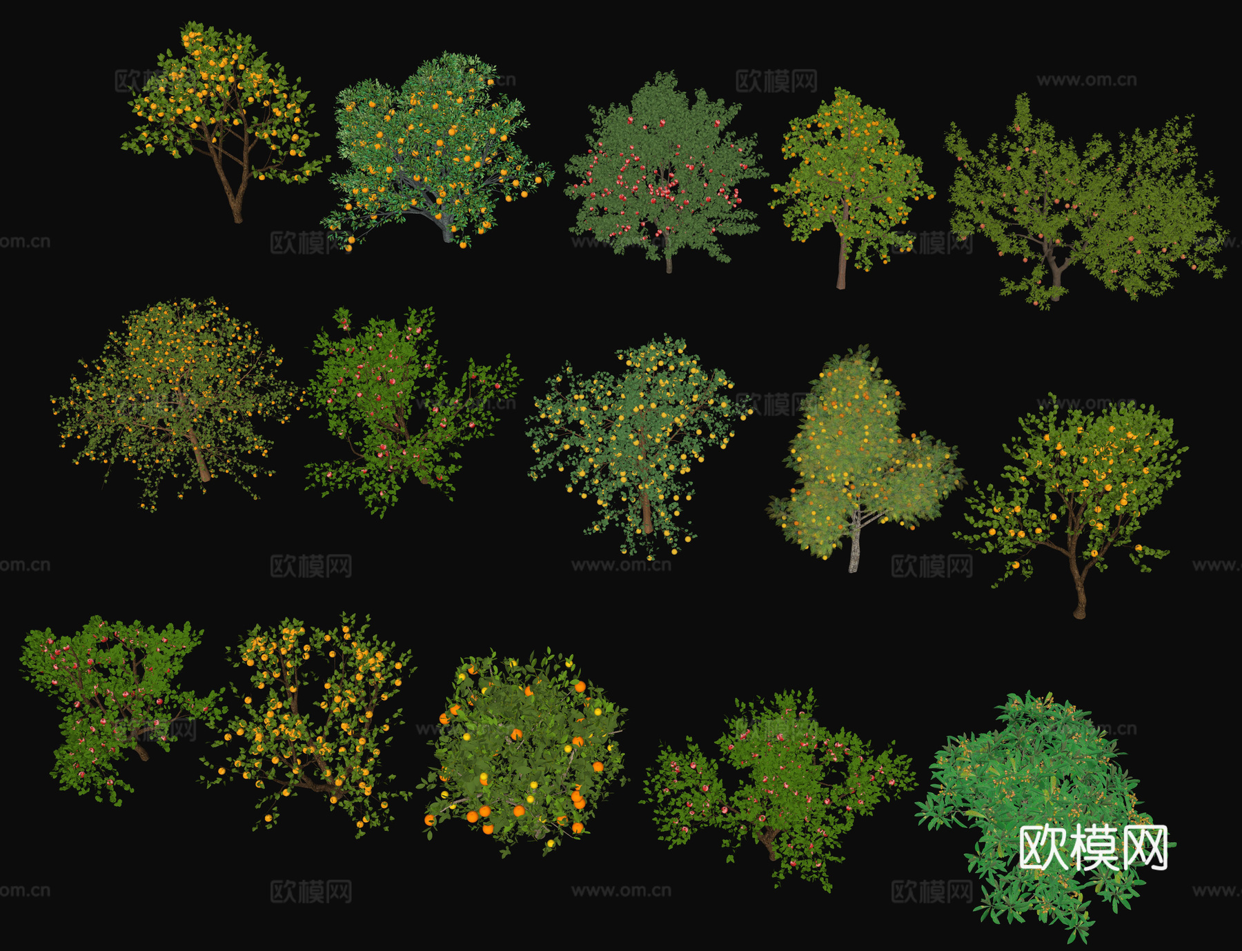 现代果树 石榴树 橘子树 花果树 苹果树 山楂树 柚子树梨树su模型
