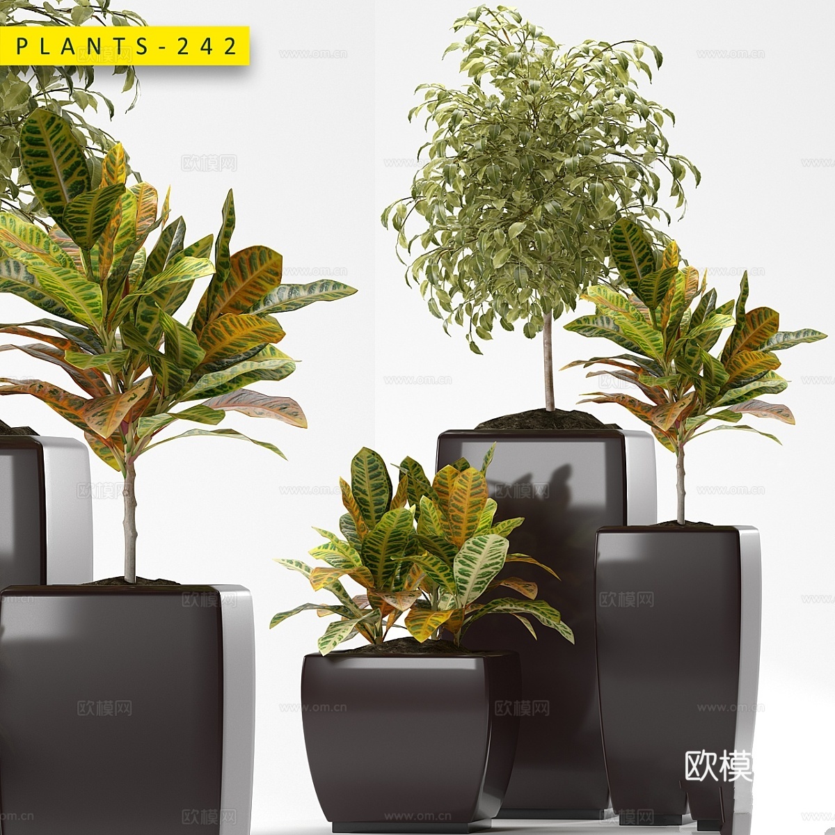 植物 2423d模型下载