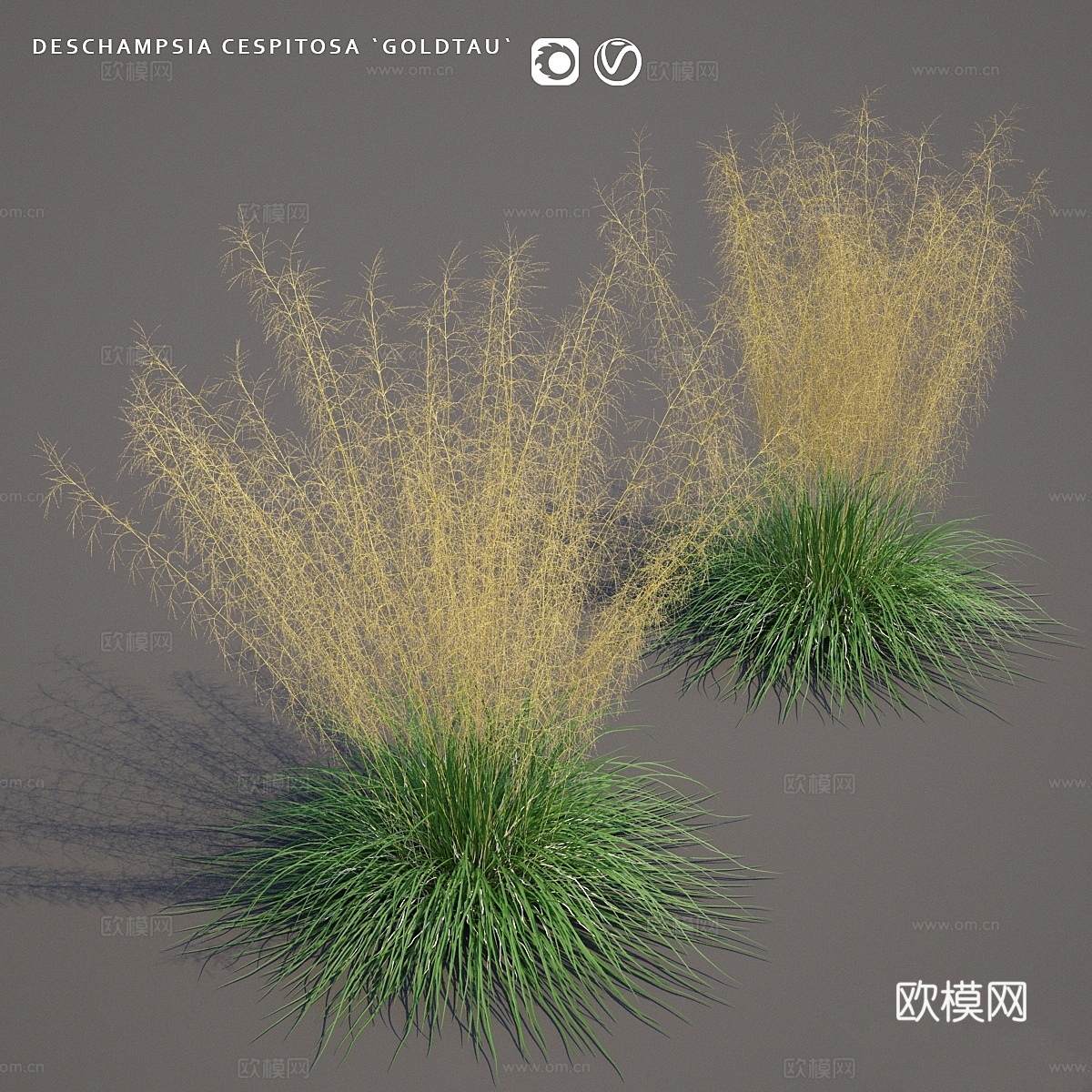 Pike turfy Lugovik   Deschamps3d模型下载