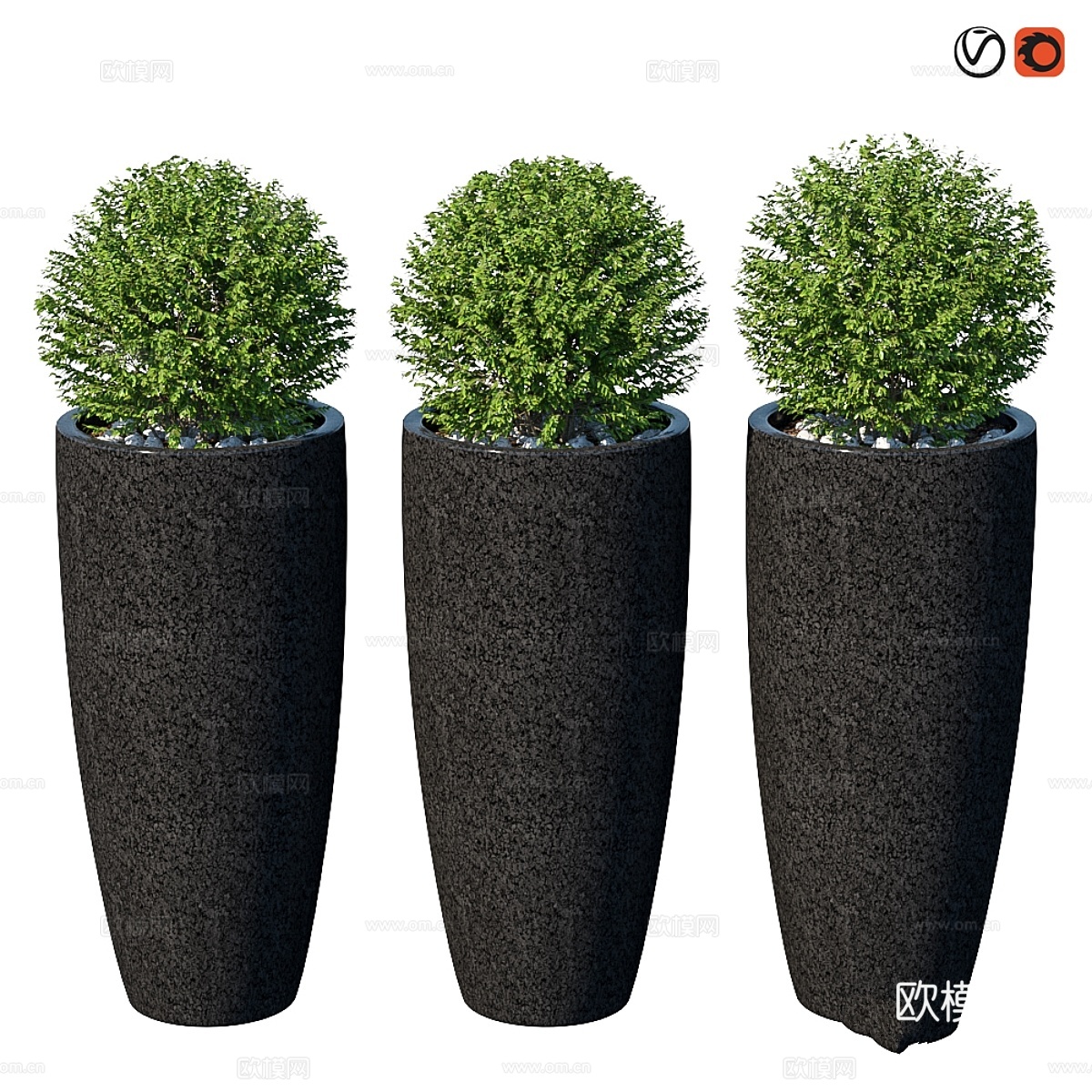 盆栽街头灌木 VIII3d模型下载