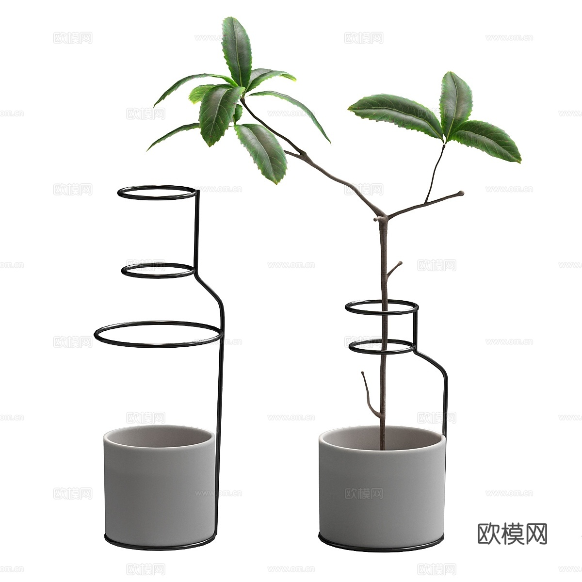 铁丝盆栽植物3d模型下载