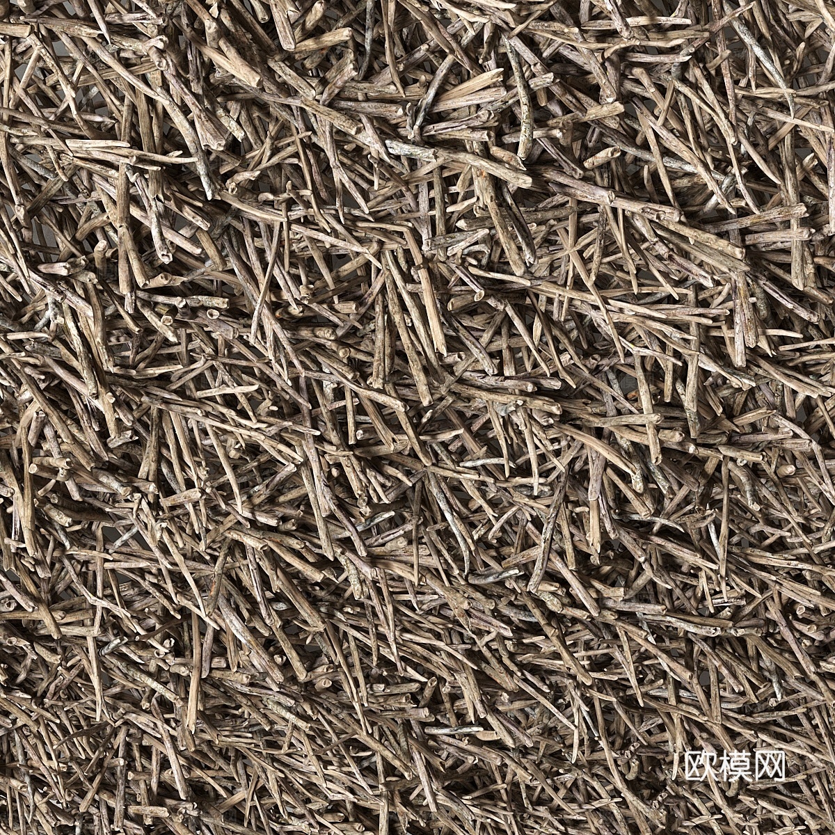 Branch天花板3d模型下载