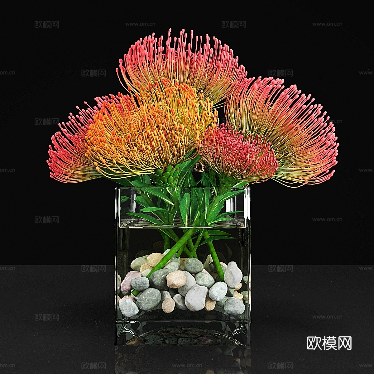 植物133d模型下载