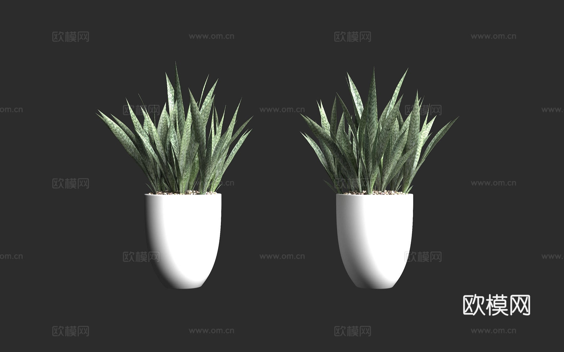 虎尾兰属 兰花盆栽 绿植盆栽 植物装饰 家装氛围 工装植物3d模型下载