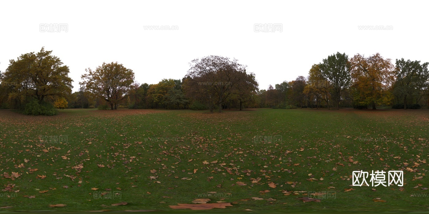 户外秋天树木落叶草地HDR