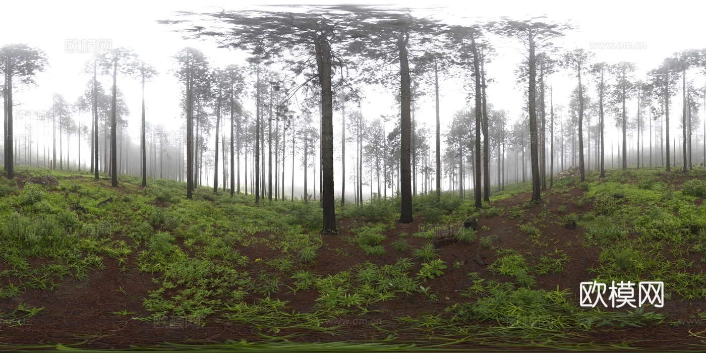 户外田园树林草地HDR