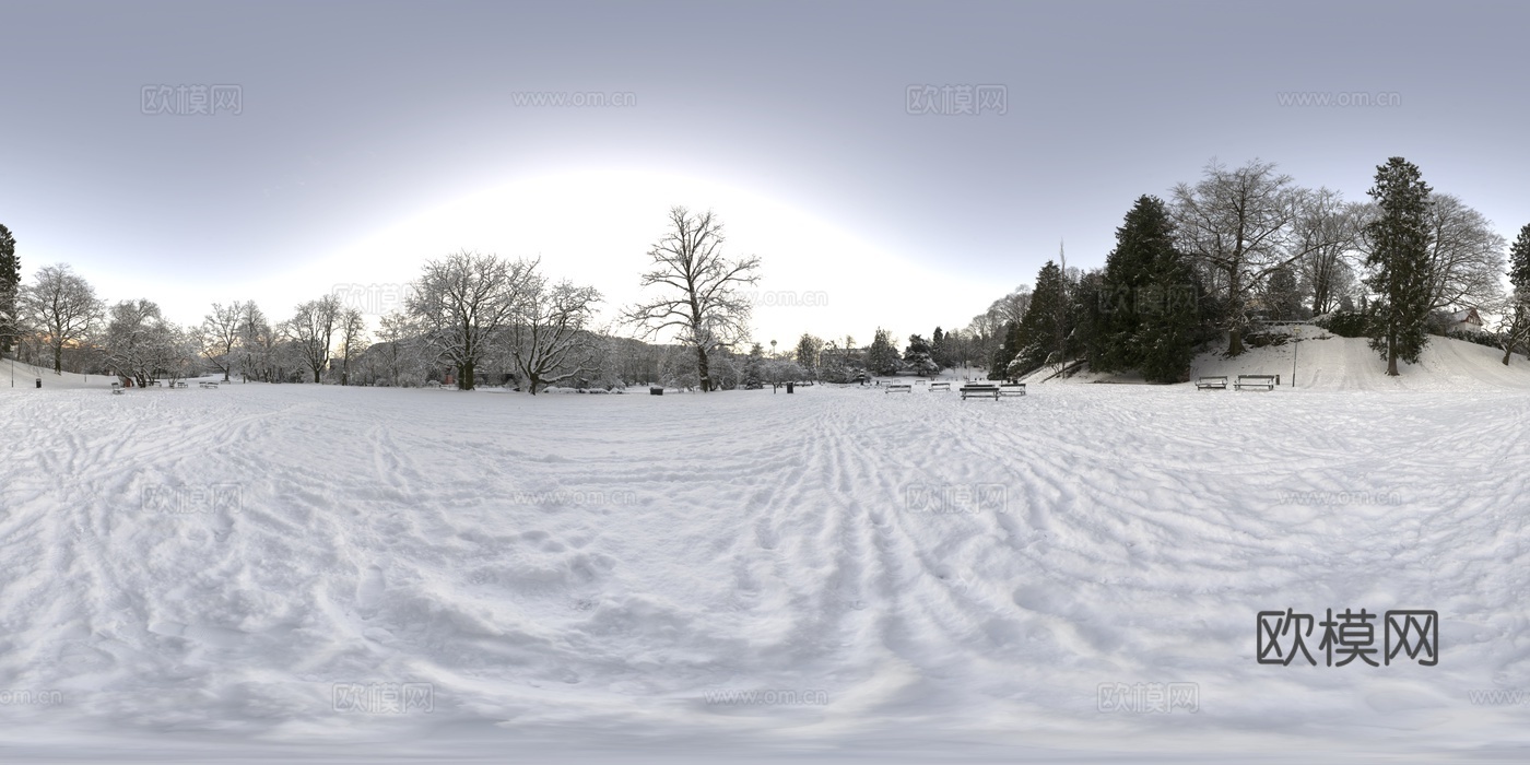 户外冬天雪地树木HDR