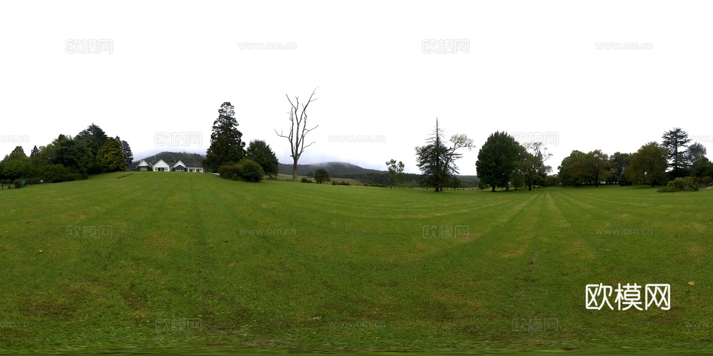 户外田园草地树木天空HDR