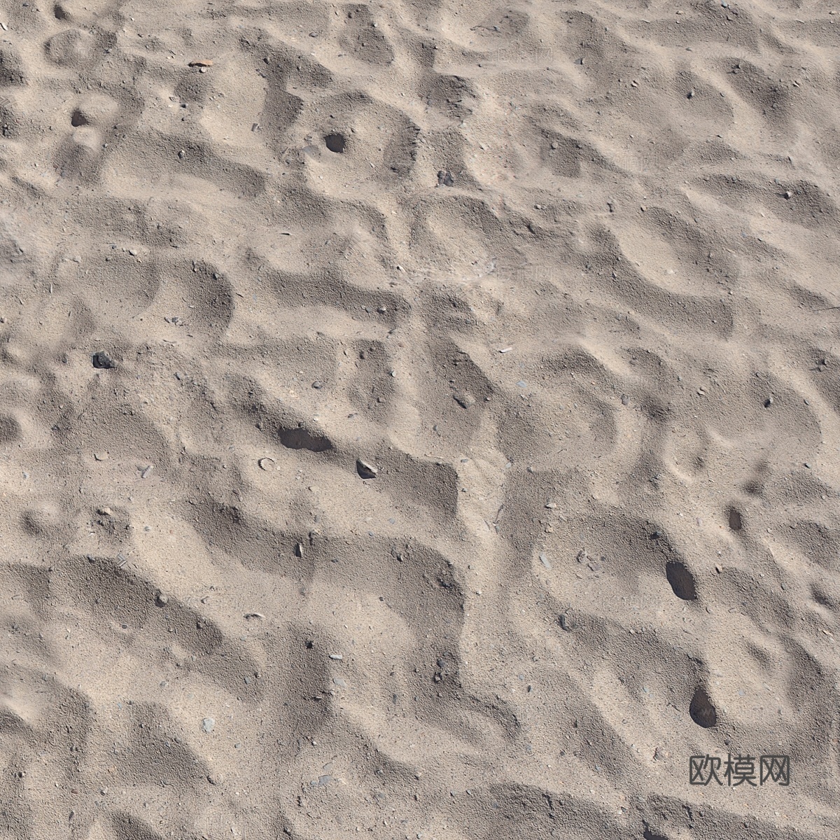 沙滩_13d模型下载