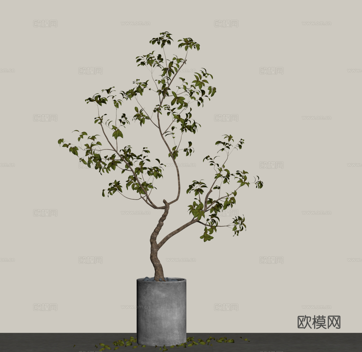 现代盆栽 落地盆栽 庭院盆栽su模型