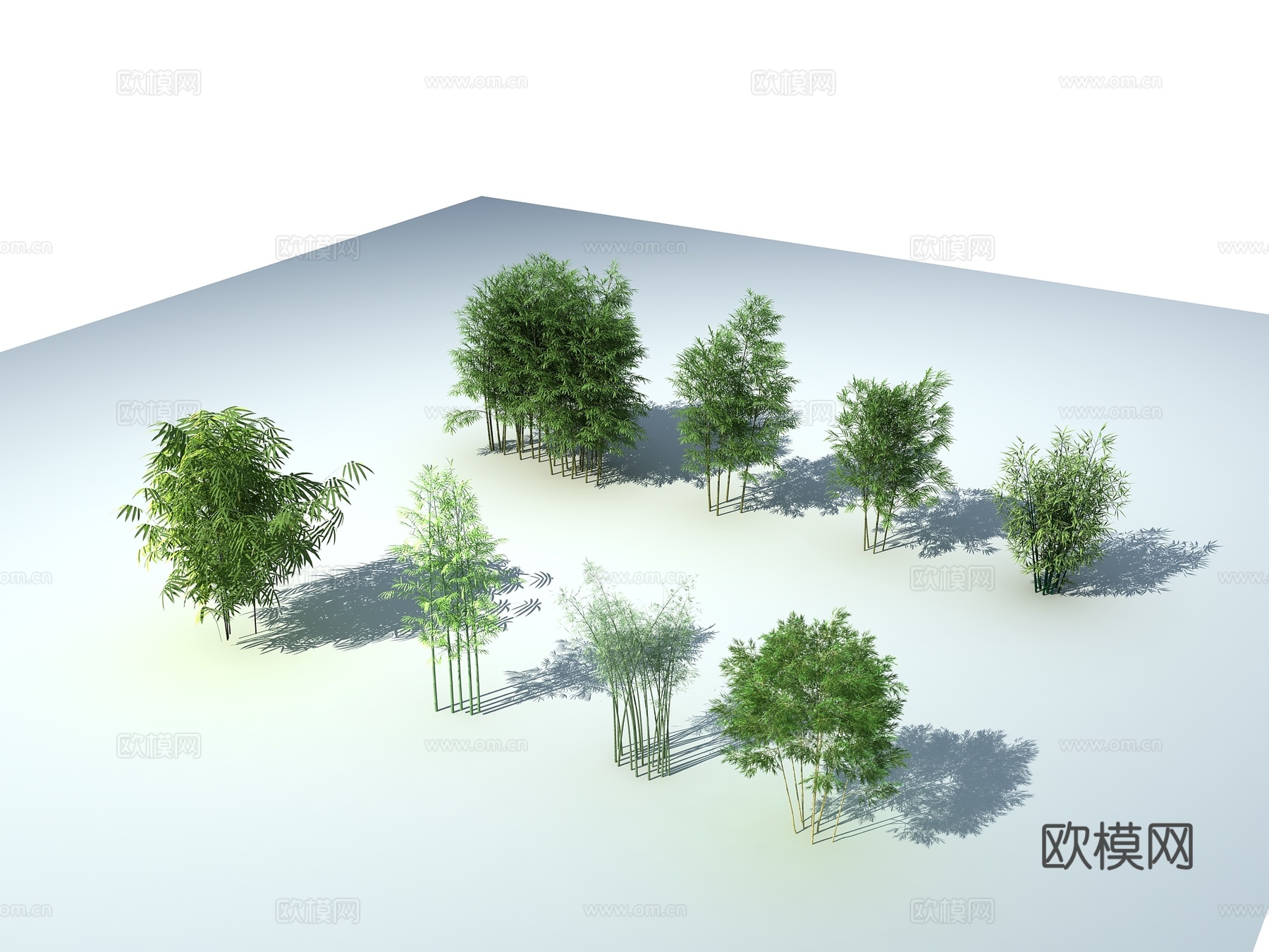 现代竹子 各种竹子 竹子组合3d模型下载（渲染图2）